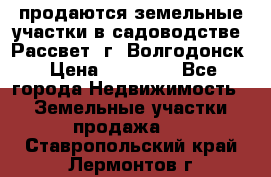 продаются земельные участки в садоводстве “Рассвет“ г. Волгодонск › Цена ­ 80 000 - Все города Недвижимость » Земельные участки продажа   . Ставропольский край,Лермонтов г.